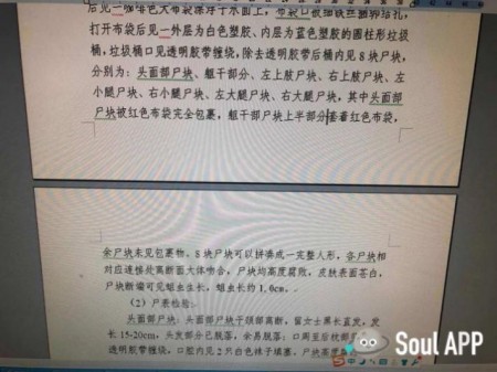 SoulApp法医找到真爱：坚守使命携手并进