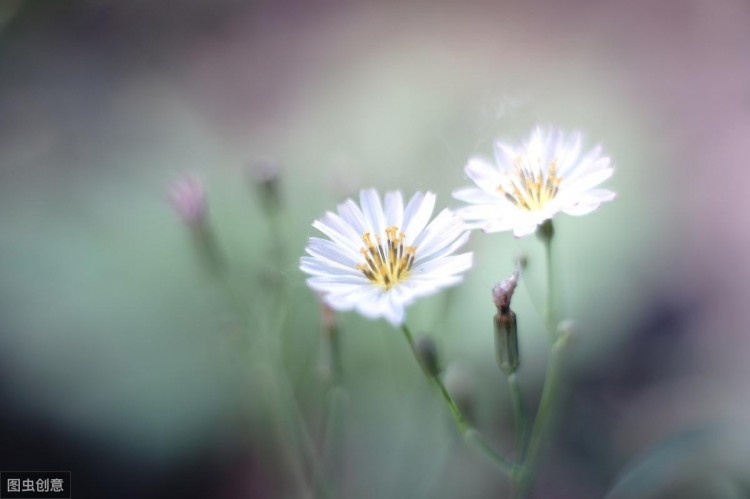 20个伤感爱情句子：一删微信便是永别愿你天黑有灯下雨有伞