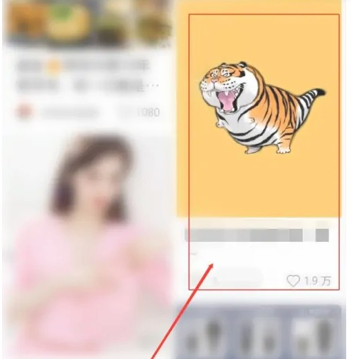 怎么才能知道小红书号